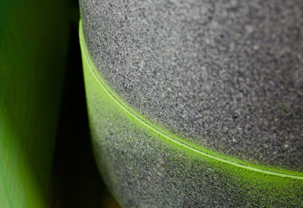 Cultivo de matcha en Wazuka